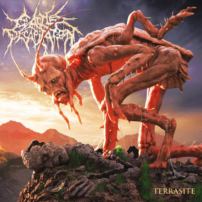 Terrasite (2XVINYL) | Mint (M) Mint (M)-