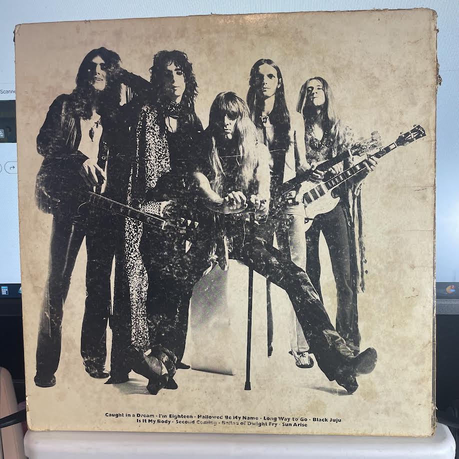 Alice Cooper - Love It To Death (VINYL) | Excellent+ (EX+) Very Good Plus (VG+)-