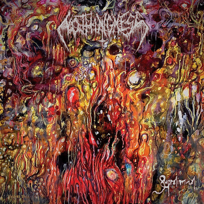 Nothingness (5) - Supraliminal (VINYL) | Near Mint+ (NM+) Mint (M)-