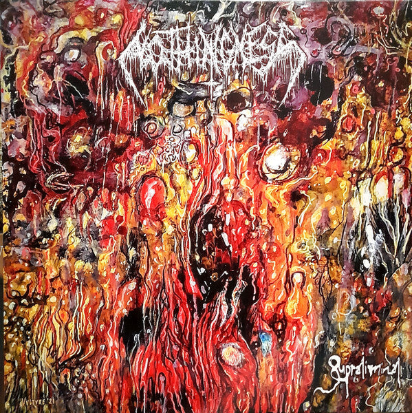 Nothingness (5) - Supraliminal (VINYL) | Near Mint+ (NM+) Mint (M)-
