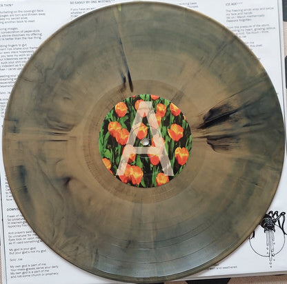 Woodrot - Ethics - A Relic (VINYL) | Near Mint+ (NM+) Mint (M)-