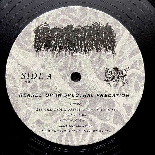 Universally Estranged - Reared Up in Spectral Predation (VINYL) | Near Mint+ (NM+) Mint (M)-