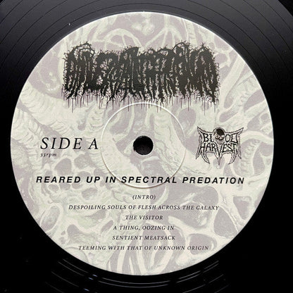 Universally Estranged - Reared Up in Spectral Predation (VINYL) | Near Mint+ (NM+) Mint (M)-