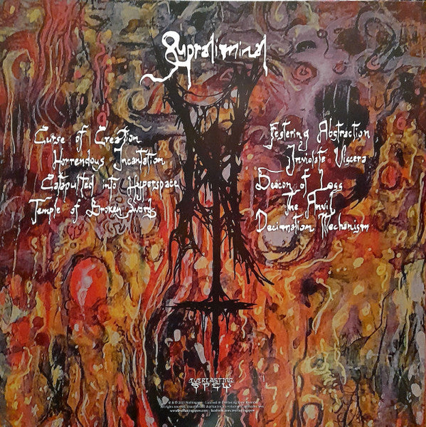 Nothingness (5) - Supraliminal (VINYL) | Near Mint+ (NM+) Mint (M)-