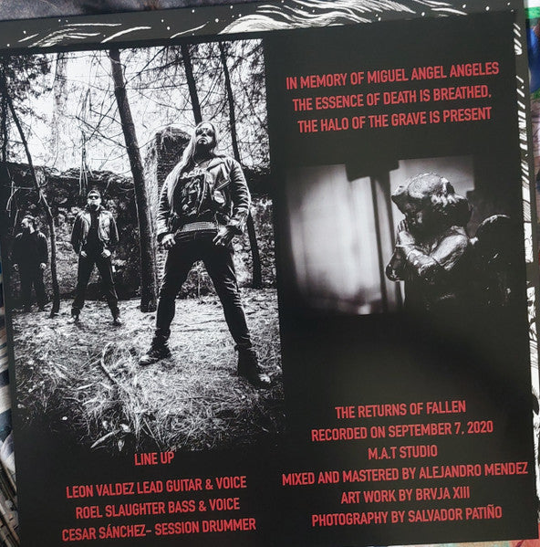 Undertomb (2) - The Returns Of Fallen (VINYL) | Near Mint+ (NM+) Mint (M)-