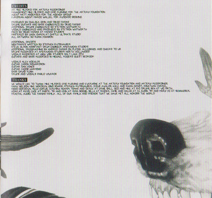 Chelsea Grin (2) - Ashes To Ashes | Near Mint (NM) Near Mint (NM)-