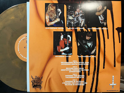 Mortal Decay - Sickening Erotic Fanaticism (GOLD & BLACK GALAXY VINYL 2xLP HELLS HEADBANGERS HELLS LP 346 2025) | USED Near Mint (NM or M-) Near Mint (NM)-