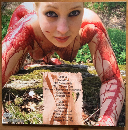 Lifelover - Pulver (VINYL) | Near Mint (NM) Near Mint (NM)-