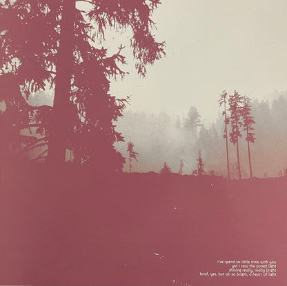An Autumn For Crippled Children - Try Not To Destroy Everything You Love (VINYL) | Near Mint (NM) Near Mint (NM)-