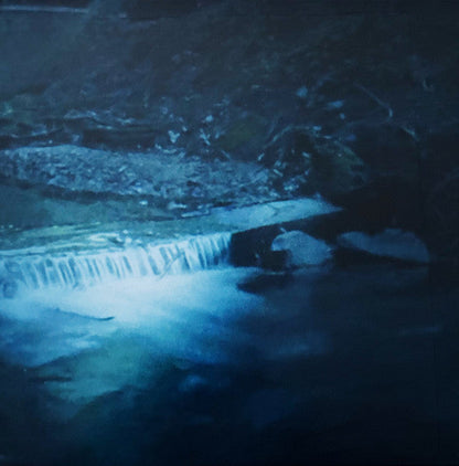 Xasthur - Suicide In Dark Serenity (VINYL) | Near Mint (NM) Mint (M)-
