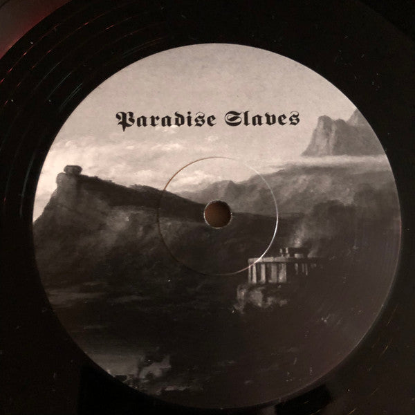 Drowning The Light - Tenth Region Of The Night & Paradise Slaves (VINYL) | Near Mint (NM or M-) Near Mint (NM)-
