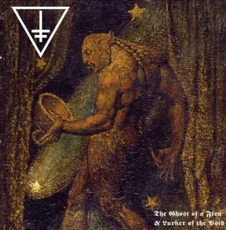 Drowning The Light - The Ghost Of A Flea & Lurker Of The Void (VINYL) | Near Mint (NM) Near Mint (NM)-