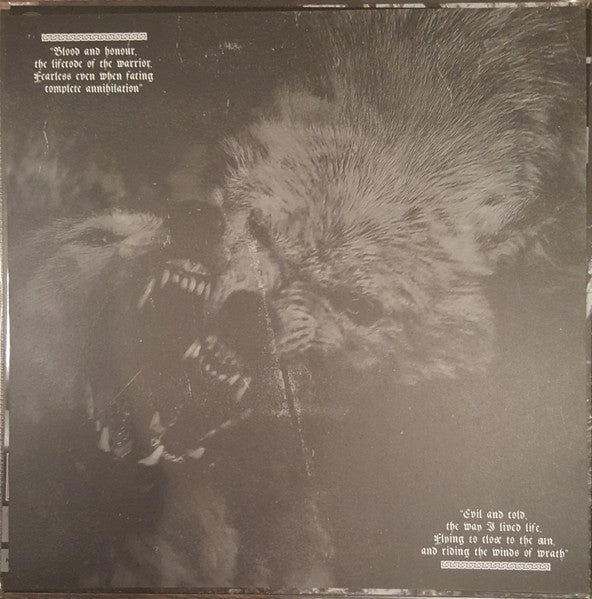 Veil Of Ancient Darkness (VINYL) | Near Mint (NM) Near Mint (NM)-