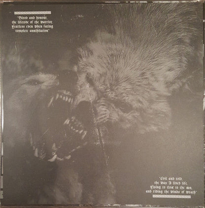 Veil Of Ancient Darkness (VINYL) | Near Mint (NM) Near Mint (NM)-
