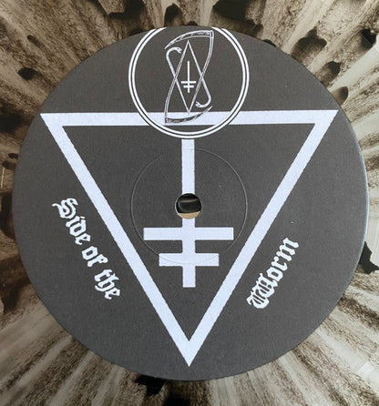 Drowning The Light - A Pact With Madness (VINYL) | Near Mint (NM) Near Mint (NM)-
