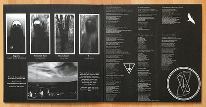 Drowning The Light - The Blood Of The Ancients (VINYL) | Near Mint (NM) Near Mint (NM)-