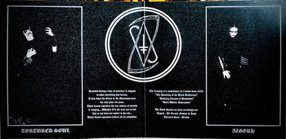 Drowning The Light - The Longing (2xVINYL) | Near Mint (NM)-