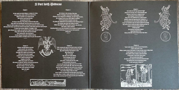 Drowning The Light - A Pact With Madness (VINYL) | Near Mint (NM) Near Mint (NM)-