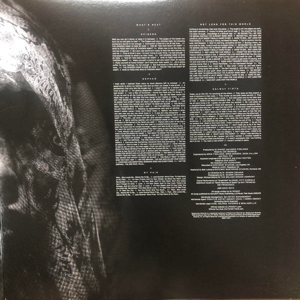 Slipknot - We Are Not Your Kind (VINYL 2LP) | Near Mint (NM or M-) Near Mint (NM)-