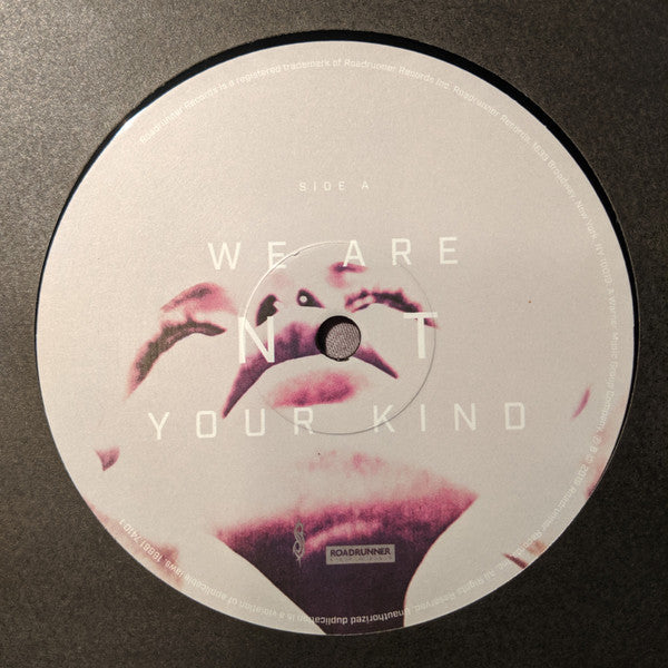 Slipknot - We Are Not Your Kind (VINYL 2LP) | Near Mint (NM or M-) Near Mint (NM)-