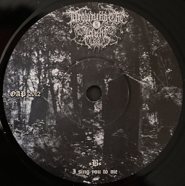 Drowning The Light - Dead Soul Requiem (7") | Near Mint (NM or M-) Near Mint (NM)-
