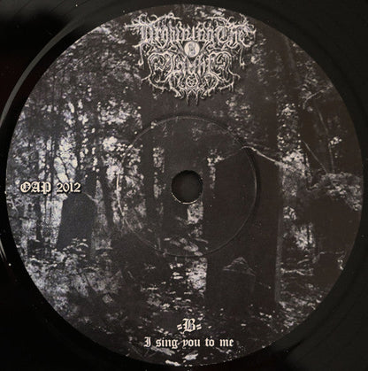 Drowning The Light - Dead Soul Requiem (7") | Near Mint (NM or M-) Near Mint (NM)-
