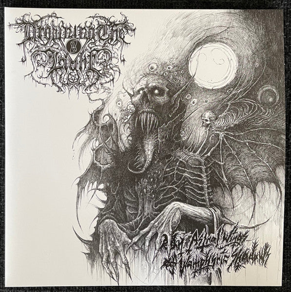 Drowning The Light - On Astral Wings Of Wamphyric Shadows (2xVINYL) | Near Mint (NM) Near Mint (NM)-