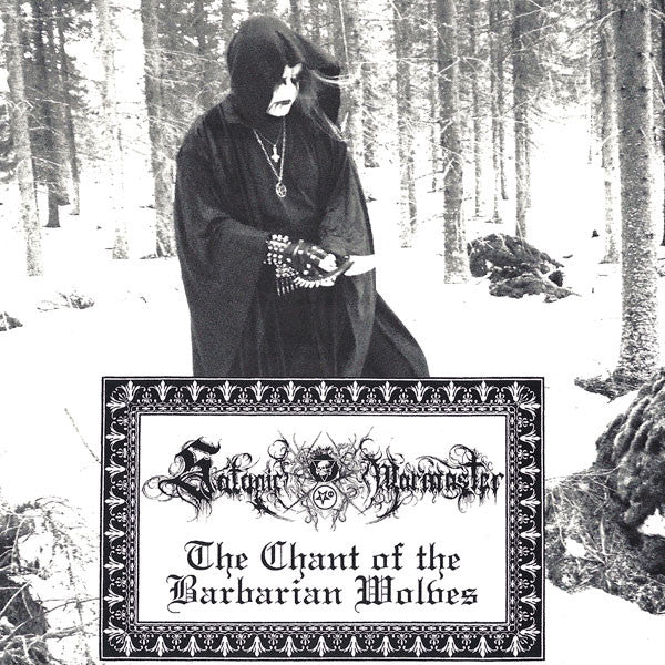 Aryan Blood - Strength / Pride / Nobility / The Chant Of Barbarian Wolves (7" VINYL) | Near Mint (NM) Near Mint (NM)-