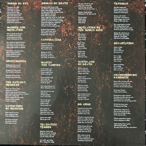Mortician - Domain Of Death (VINYL) | Near Mint (NM) Near Mint (NM)-