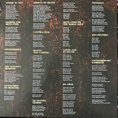 Mortician - Domain Of Death (VINYL) | Near Mint (NM) Near Mint (NM)-