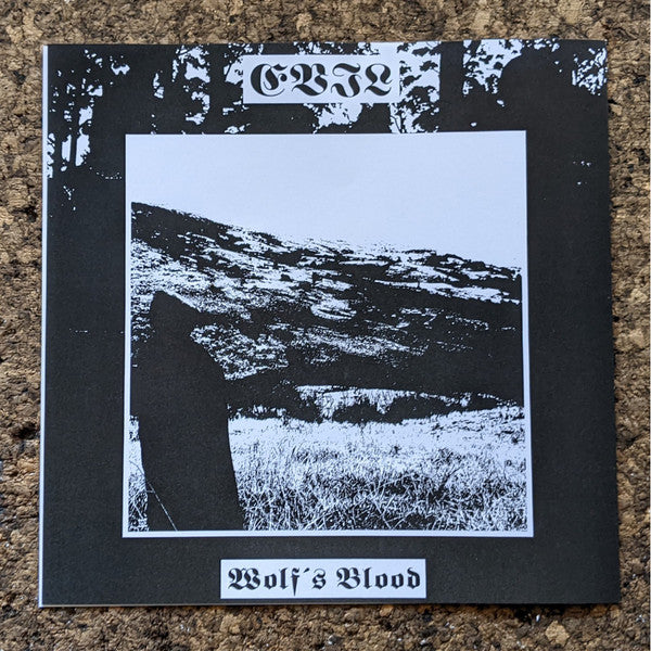 Drowning The Light - A Reflection Of The Past / Where The Sun Was Never Born (VINYL + 7") | Near Mint (NM or M-)-