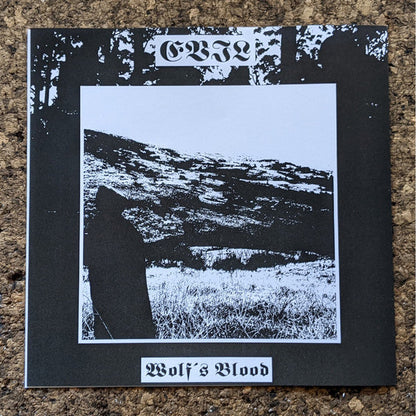 Drowning The Light - A Reflection Of The Past / Where The Sun Was Never Born (VINYL + 7") | Near Mint (NM or M-)-