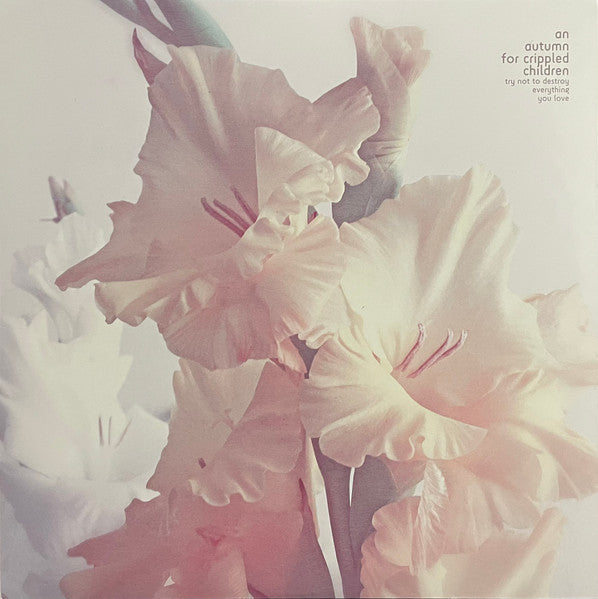 An Autumn For Crippled Children - Try Not To Destroy Everything You Love (VINYL) | Near Mint (NM) Near Mint (NM)-