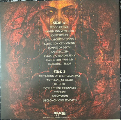 Mortician - Domain Of Death (VINYL) | Near Mint (NM) Near Mint (NM)-