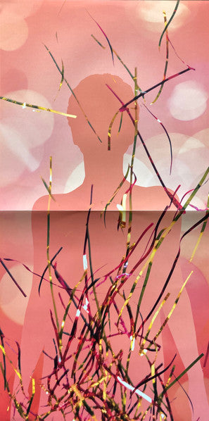 Deafheaven - Sunbather (2xVINYL) | Near Mint (NM) Near Mint (NM)-