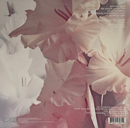 An Autumn For Crippled Children - Try Not To Destroy Everything You Love (VINYL) | Near Mint (NM) Near Mint (NM)-