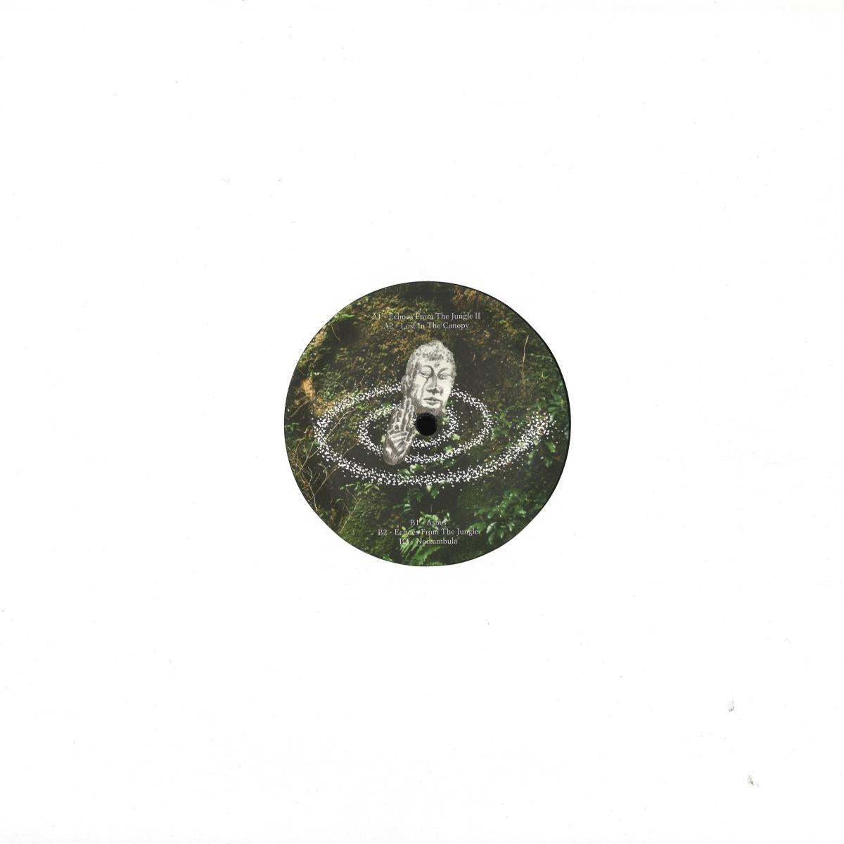 Richer - (PRESALE TBD) Temple Of Esquinox EP (VINYL 12" Voiceless VLS14) | NEW Mint (M) Mint (M)-