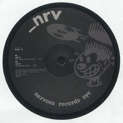Fallen Algorithm (VINYL) | Mint (M) Generic-