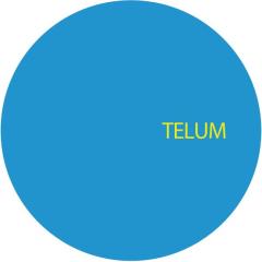 Telum - Unknown (VINYL) | Mint (M) Mint (M)-