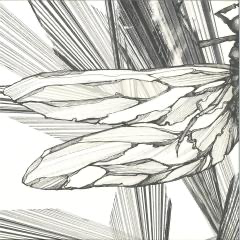 Faster - Transparency EP (2xVINYL) | Mint (M) Mint (M)-