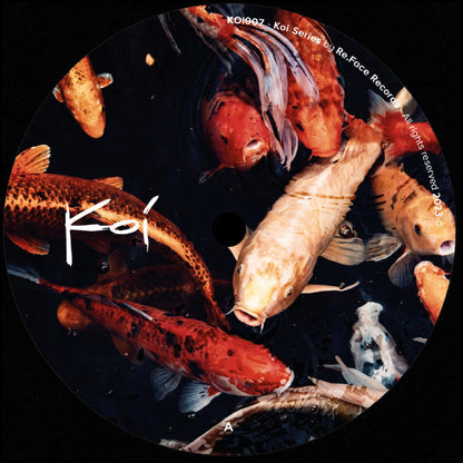 Raveld - Drifting Voices | Mint (M) Generic-