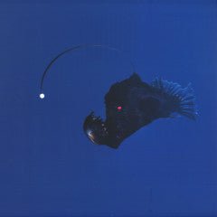 Michael Melchner - No Light Below (VINYL) | Mint (M) Mint (M)-