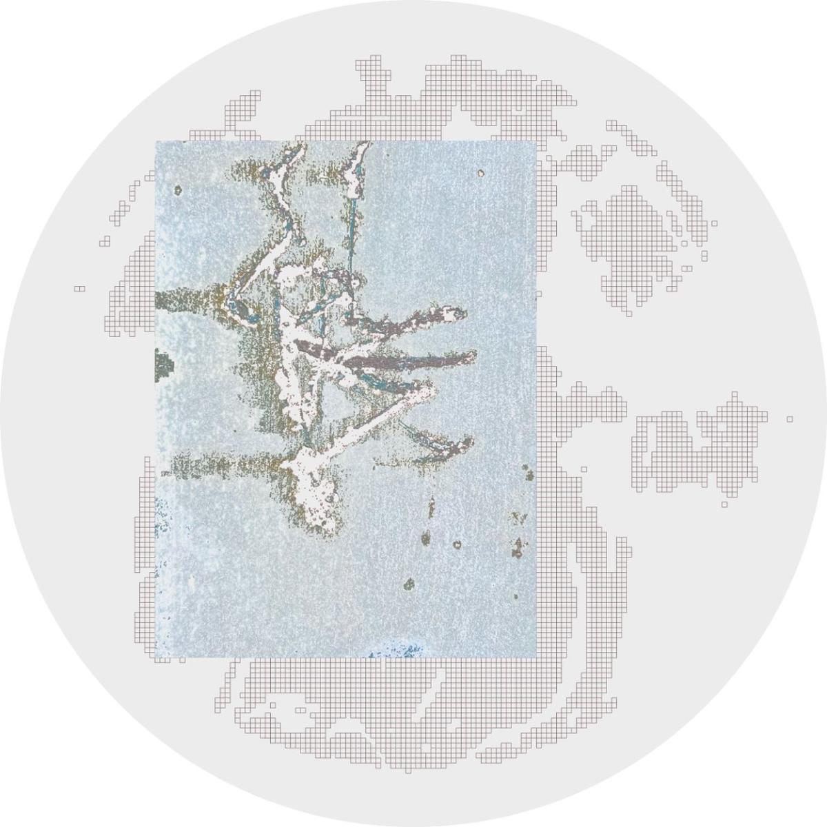 Split EP Vol. 2 (VINYL 12") | Mint (M) Mint (M)-