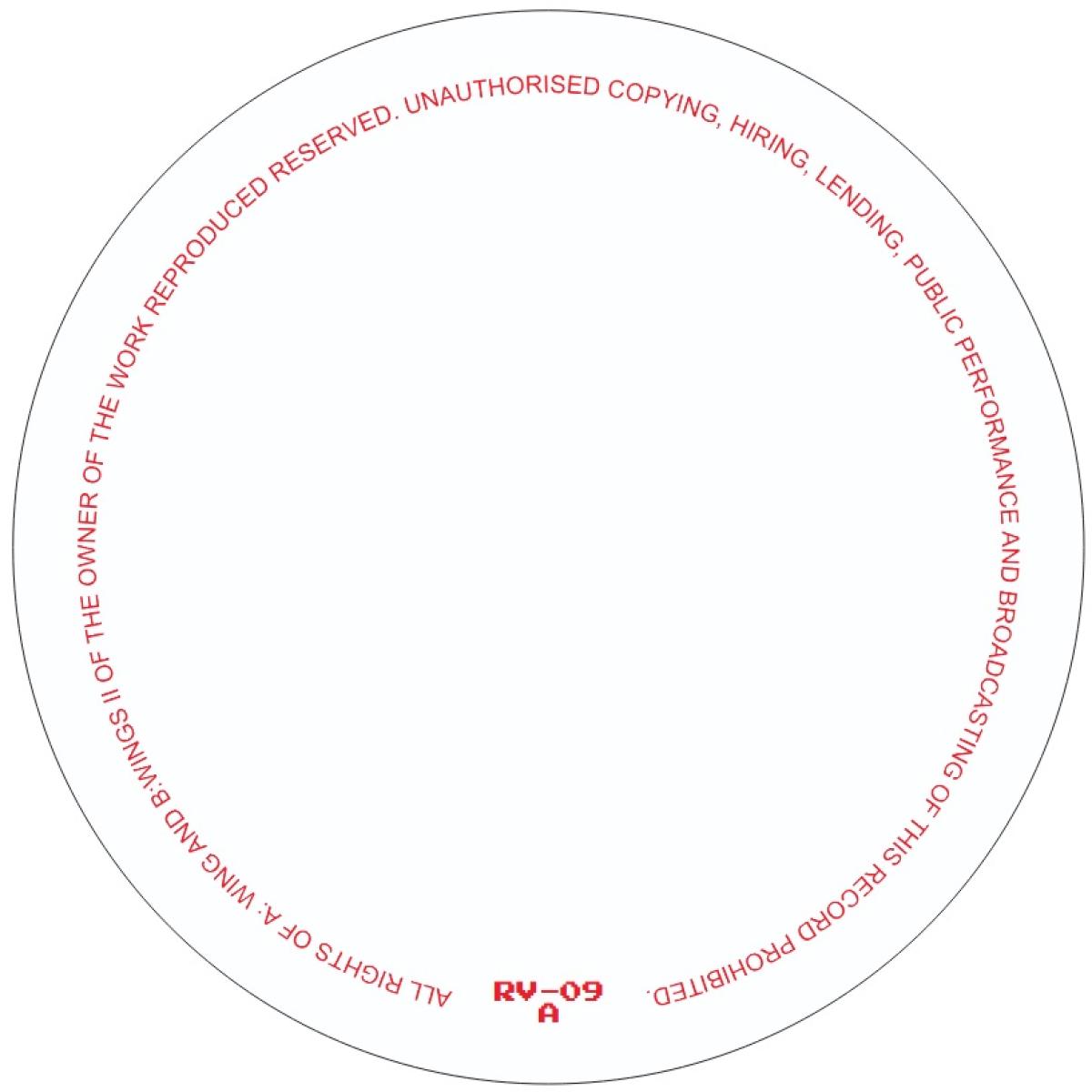 RICARDO VILLALOBOS - (PRESALE 08/10/26) WINGS (VINYL 12" Rawax RV-09 2026) | NEW-