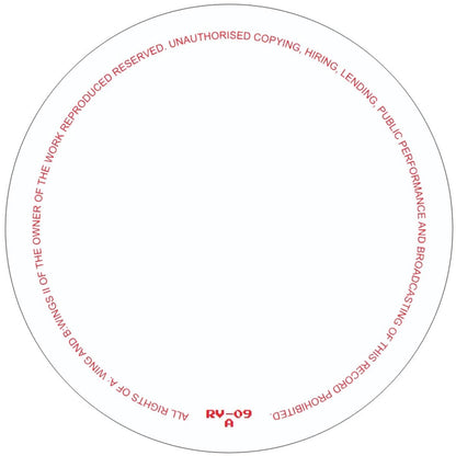 RICARDO VILLALOBOS - (PRESALE 08/10/26) WINGS (VINYL 12" Rawax RV-09 2026) | NEW-