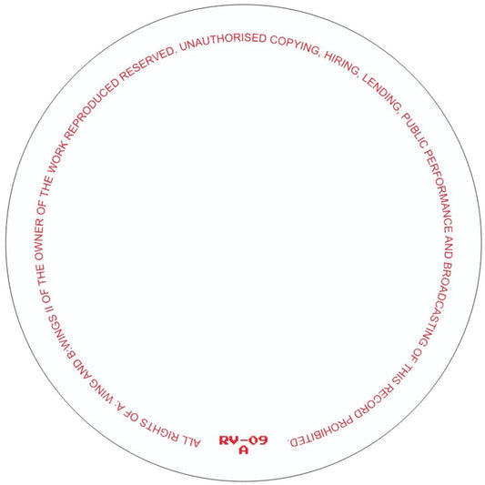 RICARDO VILLALOBOS - (PRESALE 08/10/26) WINGS (VINYL 12" Rawax RV-09 2026) | NEW-