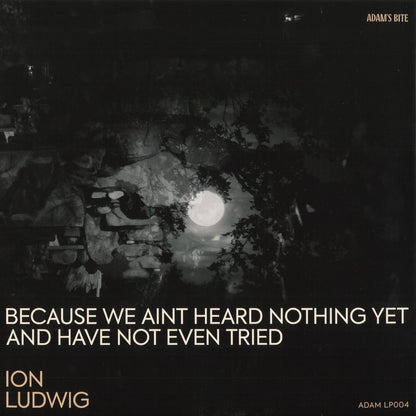 Ion Ludwig - Because We Aint Heard Nothing Yet And Have Not Even Tried (VINYL 3xLP Adams Bite ADAMLP04) | NEW Mint (M) Mint (M)-