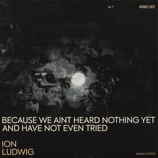 Ion Ludwig - Because We Aint Heard Nothing Yet And Have Not Even Tried (VINYL 3xLP Adams Bite ADAMLP04) | NEW Mint (M) Mint (M)-