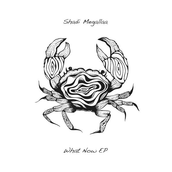 Shadi Megallaa - What Now Ep (VINYL) | Mint (M) Mint (M)-