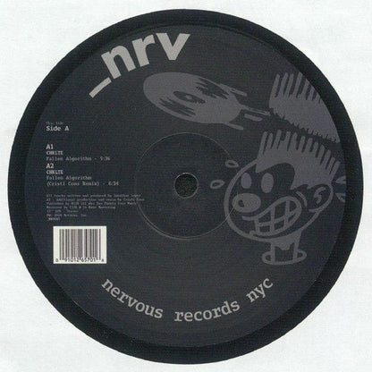 Fallen Algorithm (VINYL) | Mint (M) Generic-